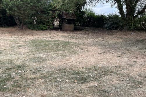 A lawn parched brown by the dry summer, with a brick wishing well under the trees beyond
